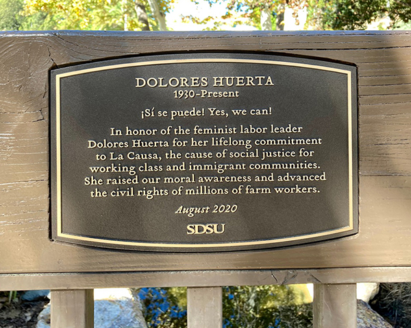 plaque up close